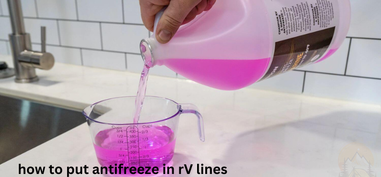 how to put antifreeze in rV lines (step-by-step-guide) – 2024