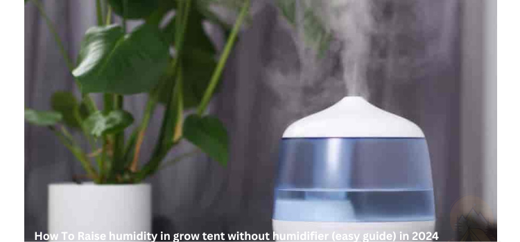 How To Raise humidity in grow tent without humidifier (easy guide) in 2024